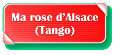 Ma rose dAlsace (Tango)